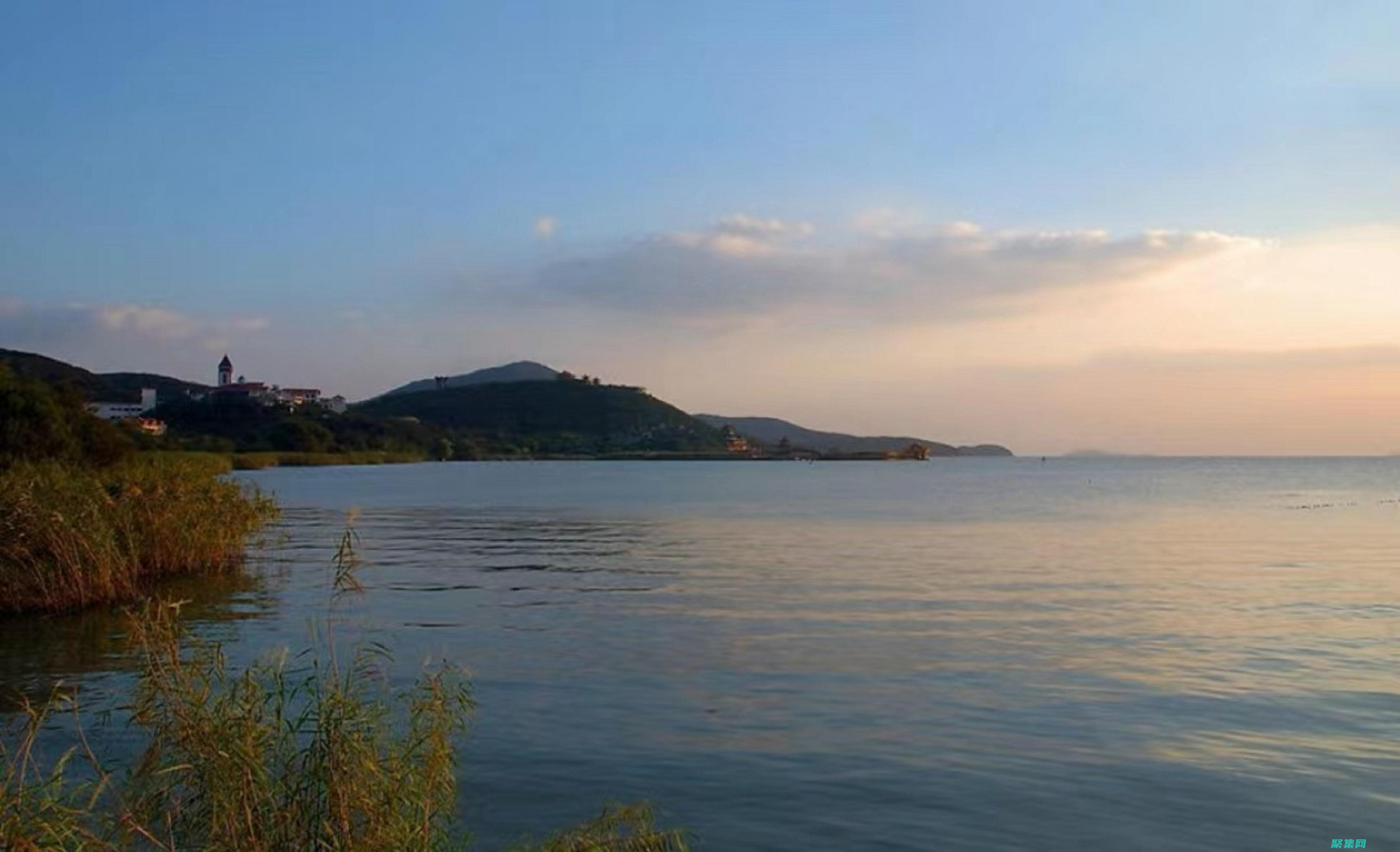 揭秘背后的惊人真相