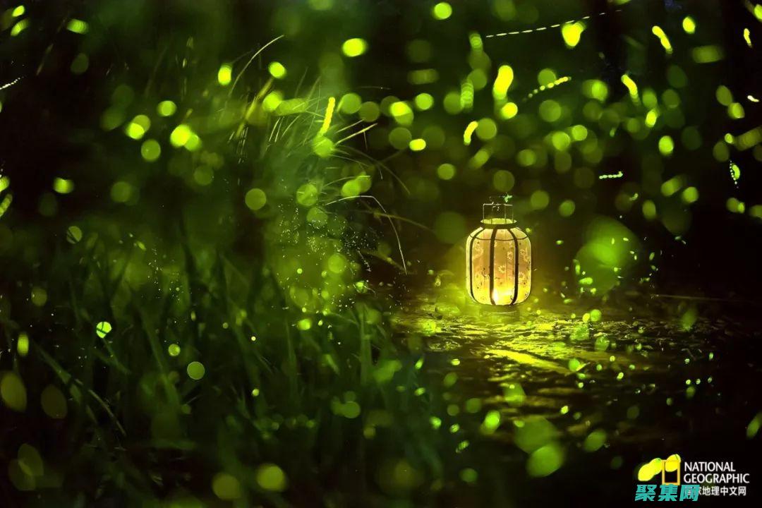 疗愈伤痛：如月车站事件受害者及其家属的康复之路 (治愈疗伤)