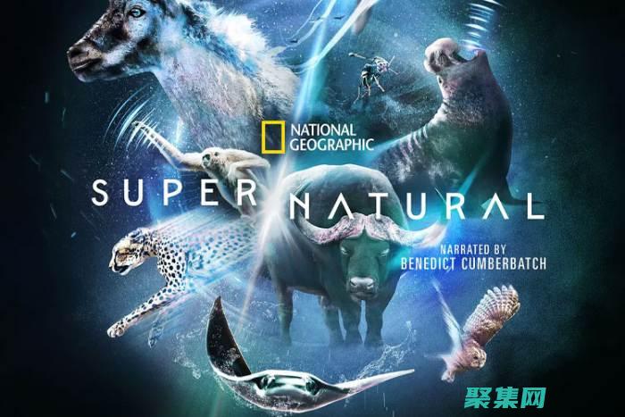 超自然侦探社序章线索合成