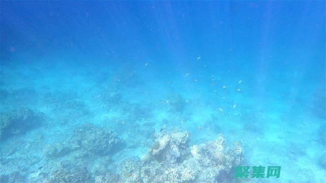 海洋深处的惊人发现