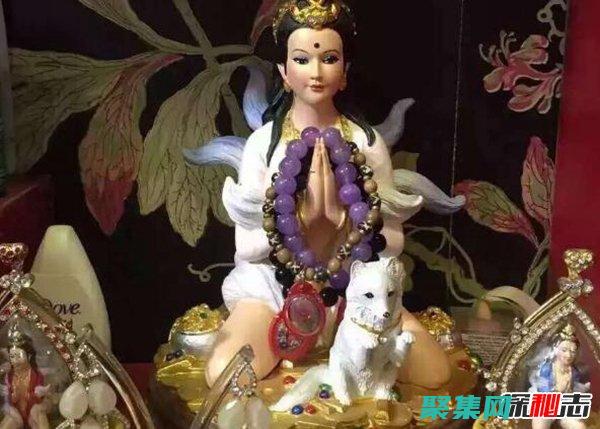 狐妖迷踪与附体传闻