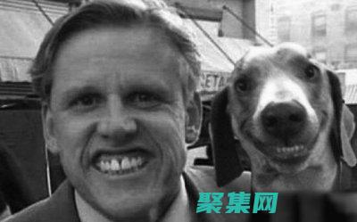 微笑的狗恐怖原图的心理影响：它如何撼动我们的恐惧 (微笑的狗恐怖事件图片)