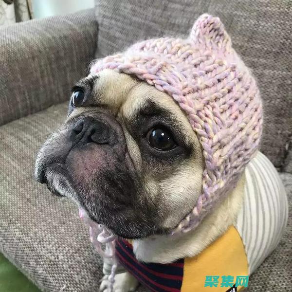 探索微笑的狗恐怖原图的文化意义：它在集体无意识中的作用 (探索微笑的狗是什么狗)