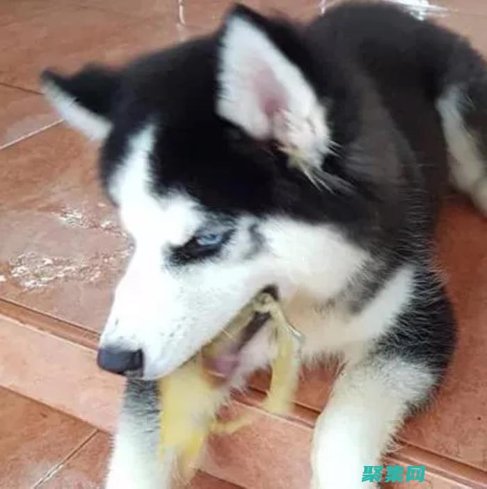 它在集体无意识作用