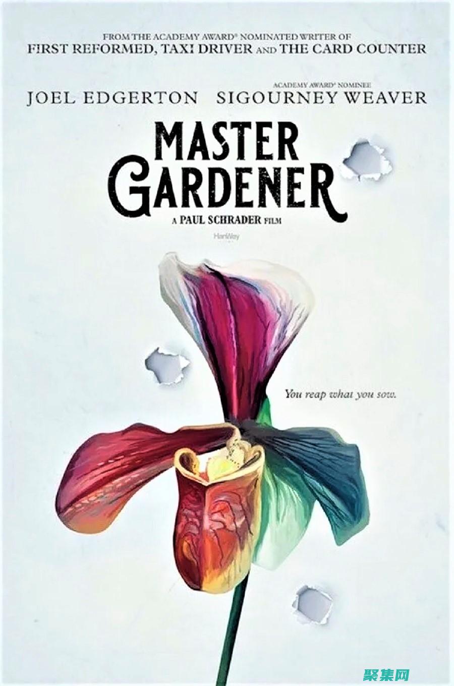 Master the Art of C Programming: Delving into the Source Code to Enhance Your Skills (mastercard官网)