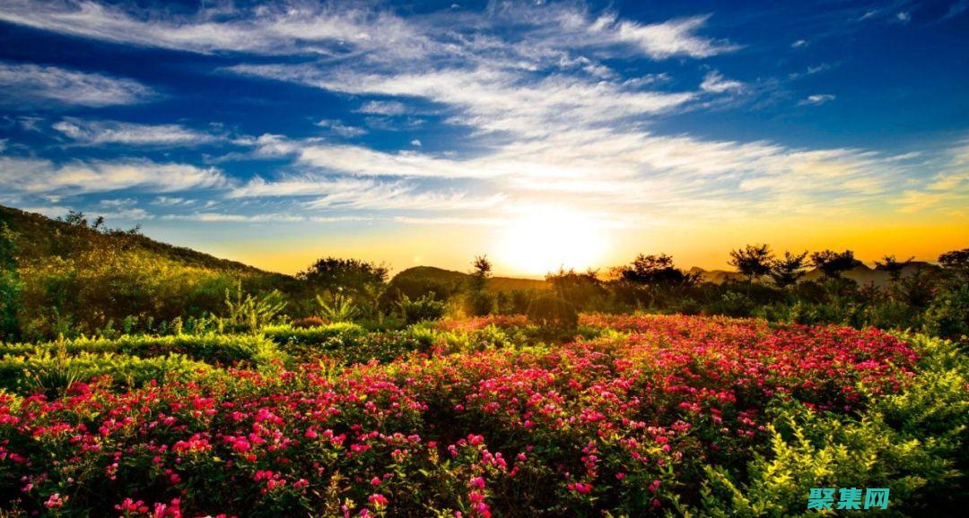 优化您的旅游网站，提高转换率：体验我们的定制旅游网站源码 (优化您的旅游资源)