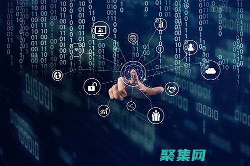 和分析网站源码