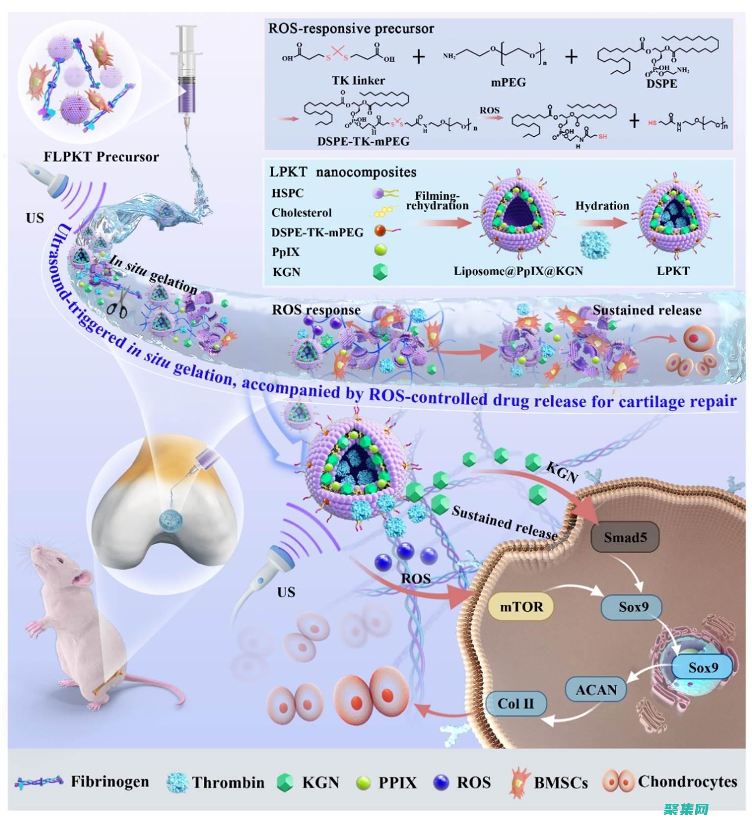 释放 JavaScript 的力量：掌握令人惊叹的特效 (释放java wrapper)