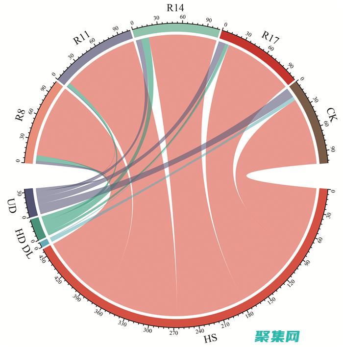 随机性与确定性的交织：Random函数在计算机科学中的作用 (随机性与确定性微生物群落如何作图)