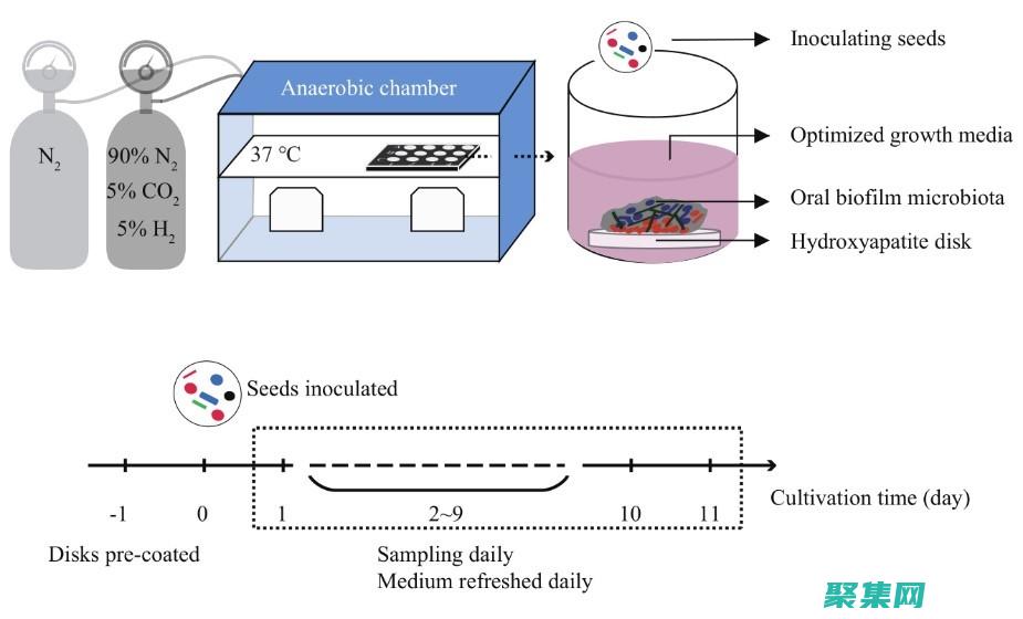 Rom在计算机科学中的作用