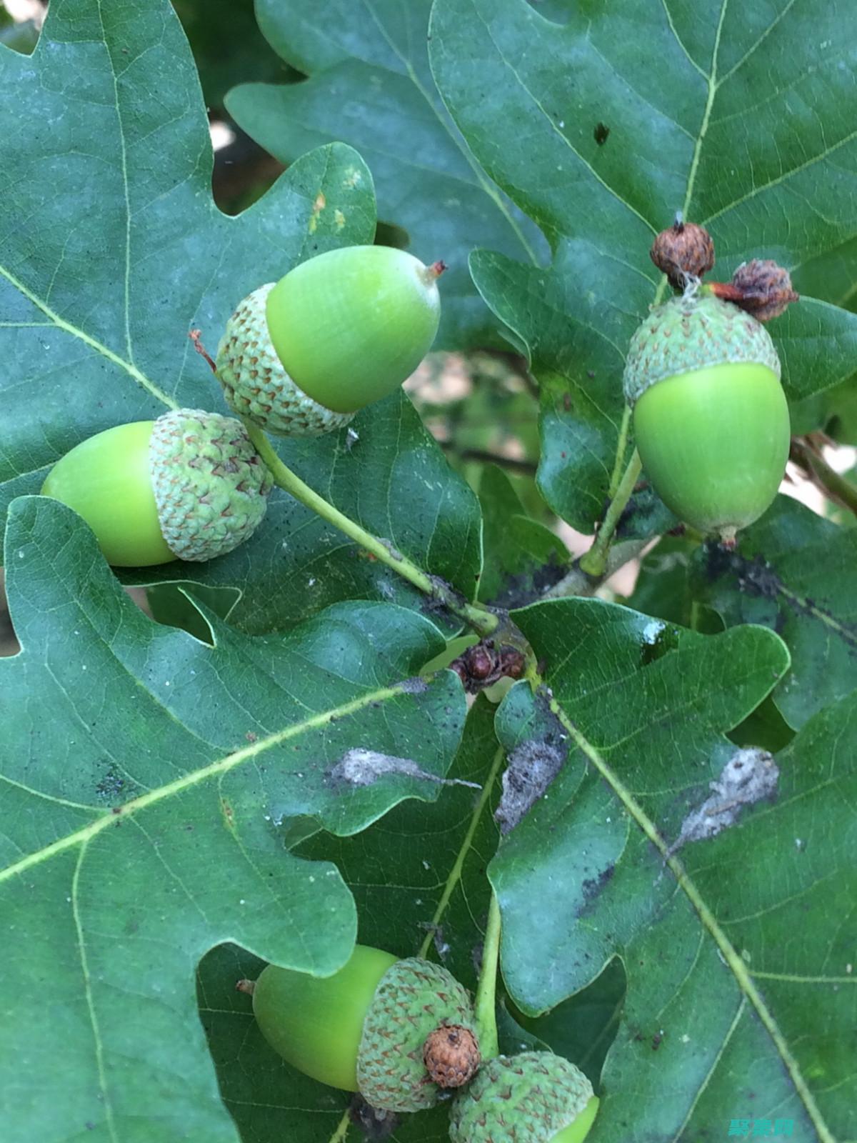 下列关于方法重载的说法错误的是