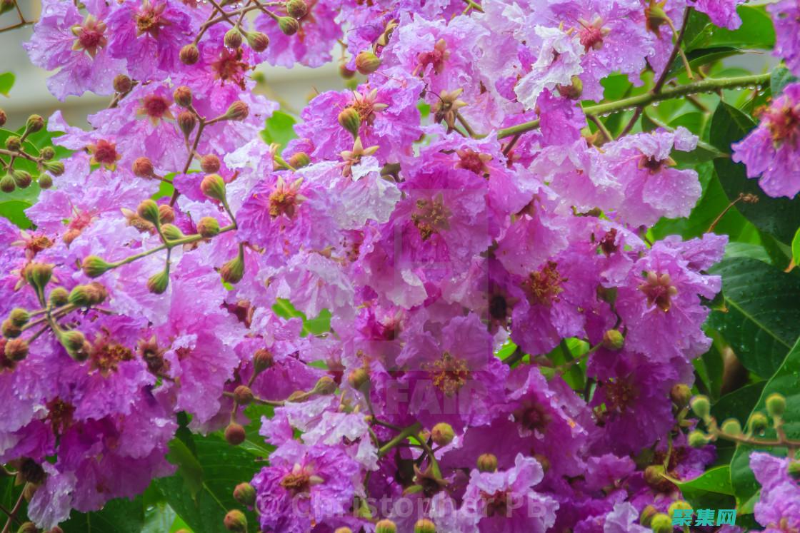 底层数据库操作类