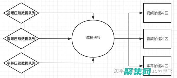 解码成员是什么