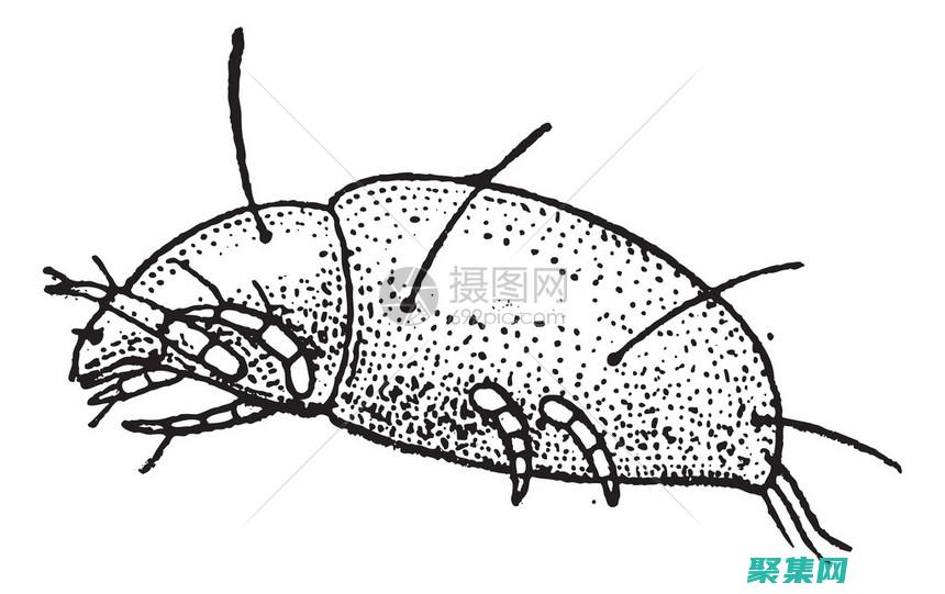 在销毁时调用的函数