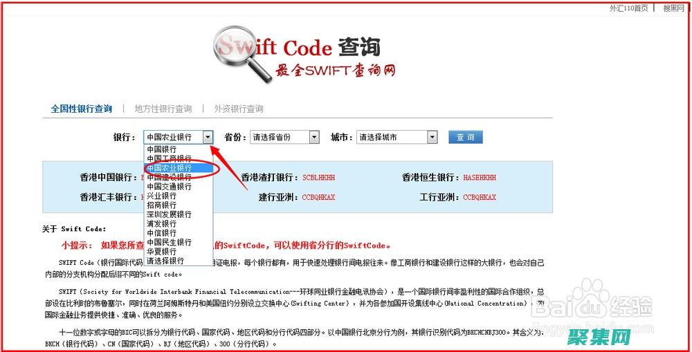 探索海洋的欧美动画片