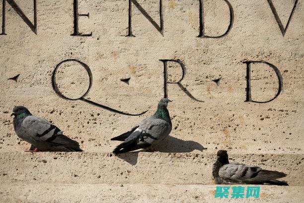 一步一步构建你的第一个3D场景