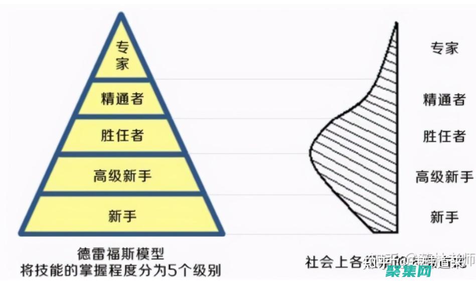 从新手到专家的五个阶段