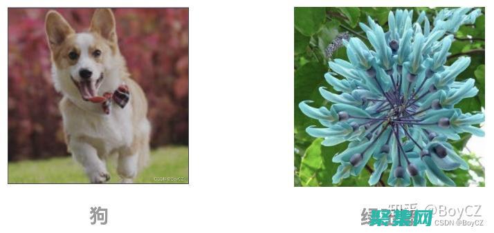 图像分类的挑战