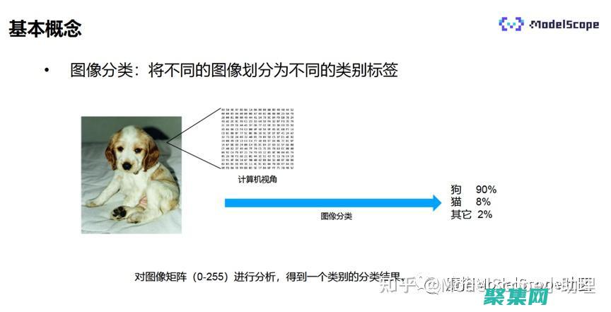 图像分类的挑战