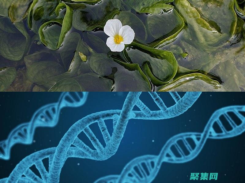 下一代产品开发