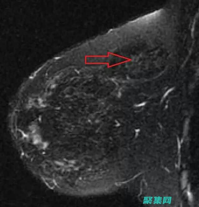 手把手教你构建专业网站：全面的织梦建站指南 (手把手教你构建自己的Linux系统)