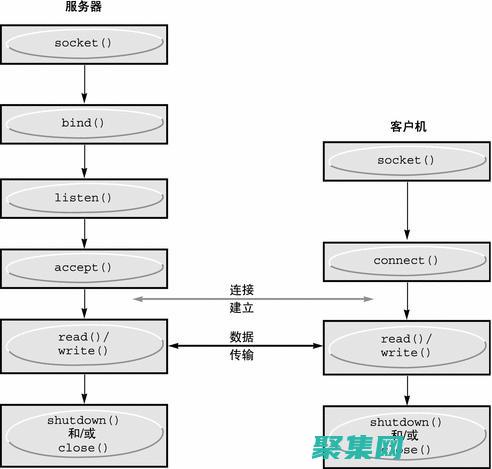 用于监听请求的套接字