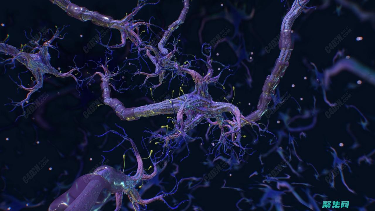 赋能人工驱动的程序