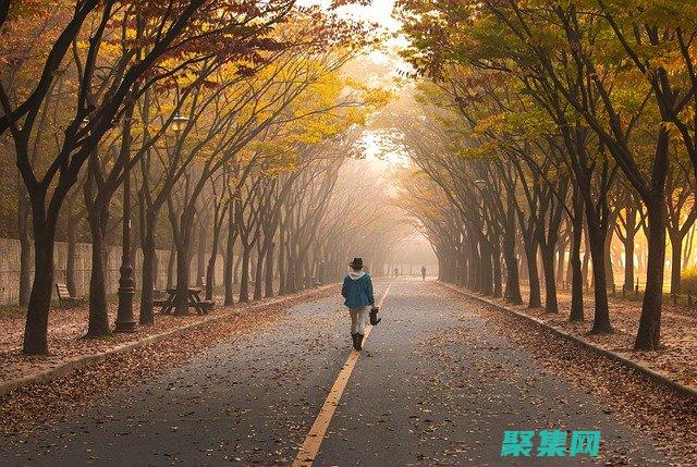 vb程序设计初学者指南