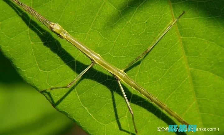 隐藏式导航的秘密