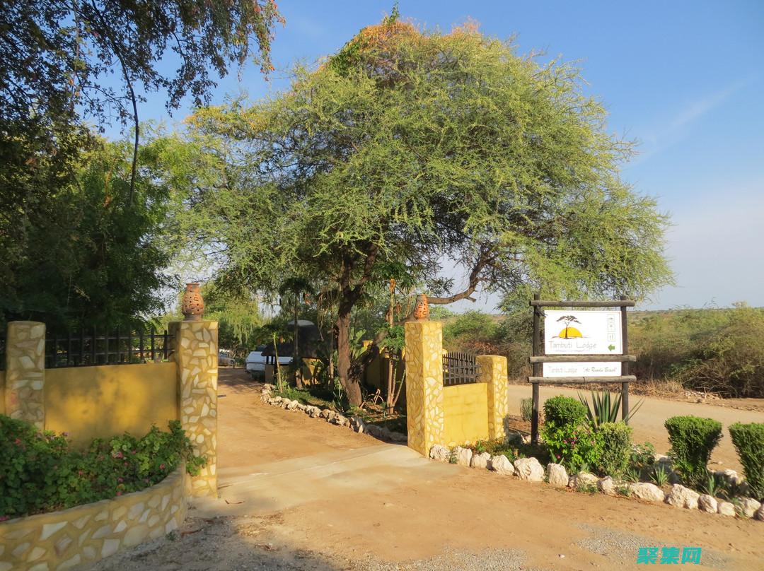 Roundup函数的最佳实践：避免陷阱，确保数据准确无误 (roundup函数是什么意思)