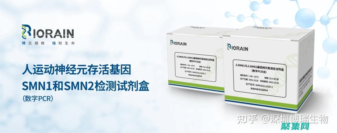 数字转换为安全字符串