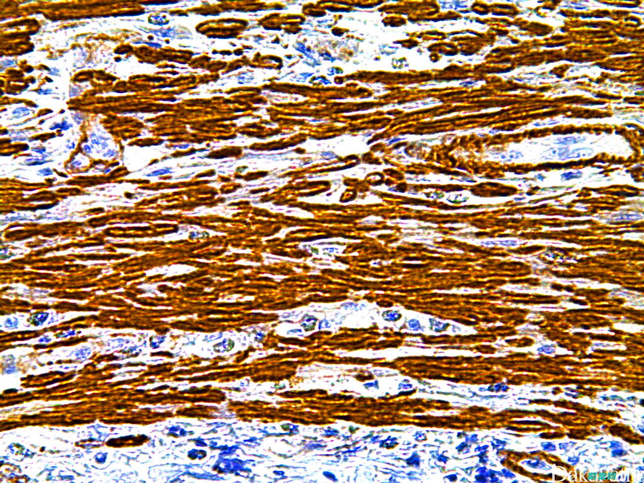 Smart制作本次活动的报名流程