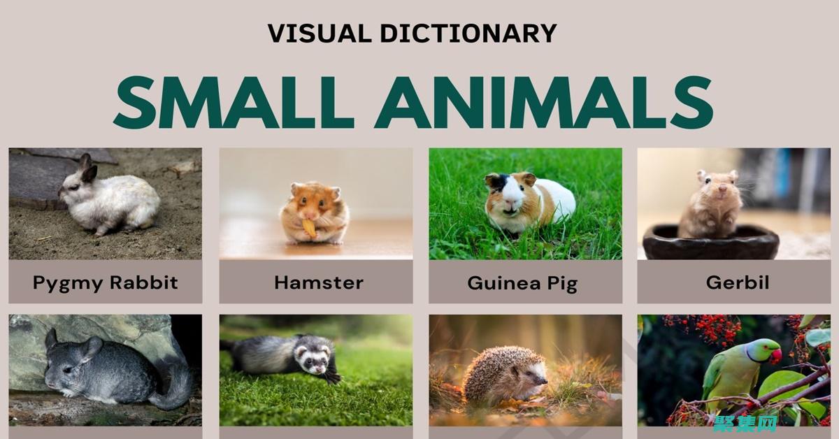 small 函数指南：释放 JavaScript 中数字处理的潜力 (small函数excel)
