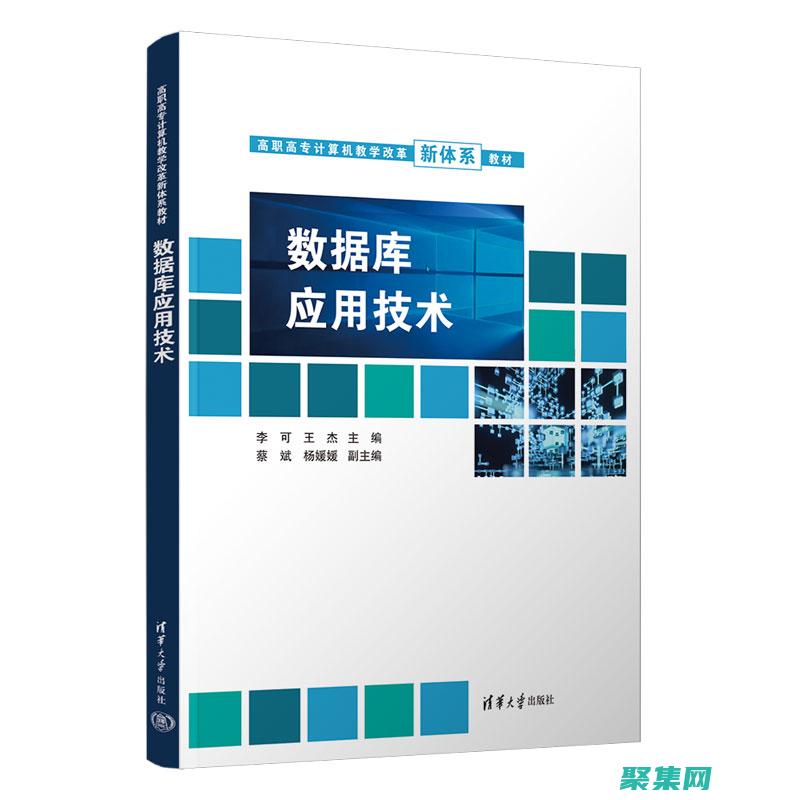 数据库应用开发：敲开数据管理宝库的大 (数据库应用开发)