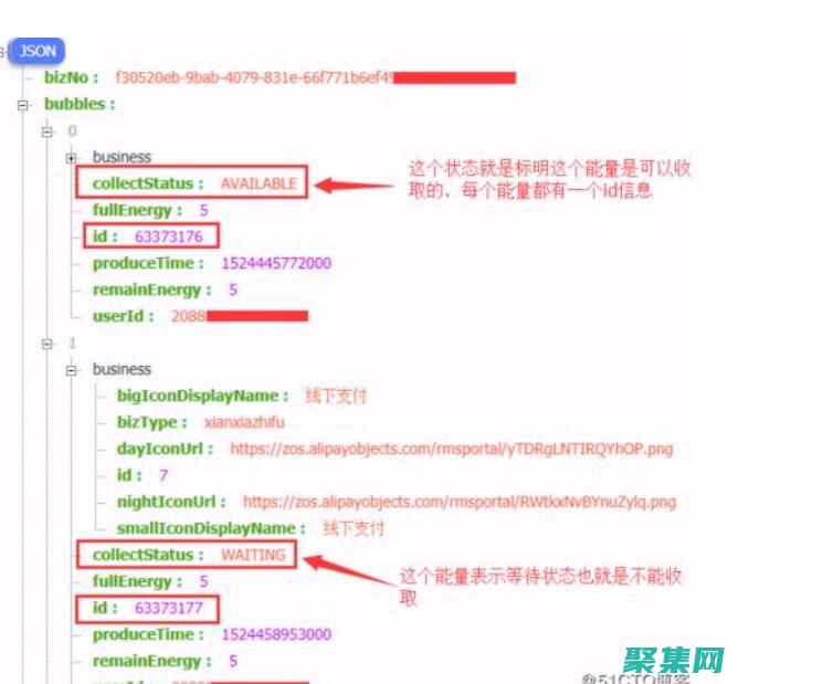 深入其结构和用途