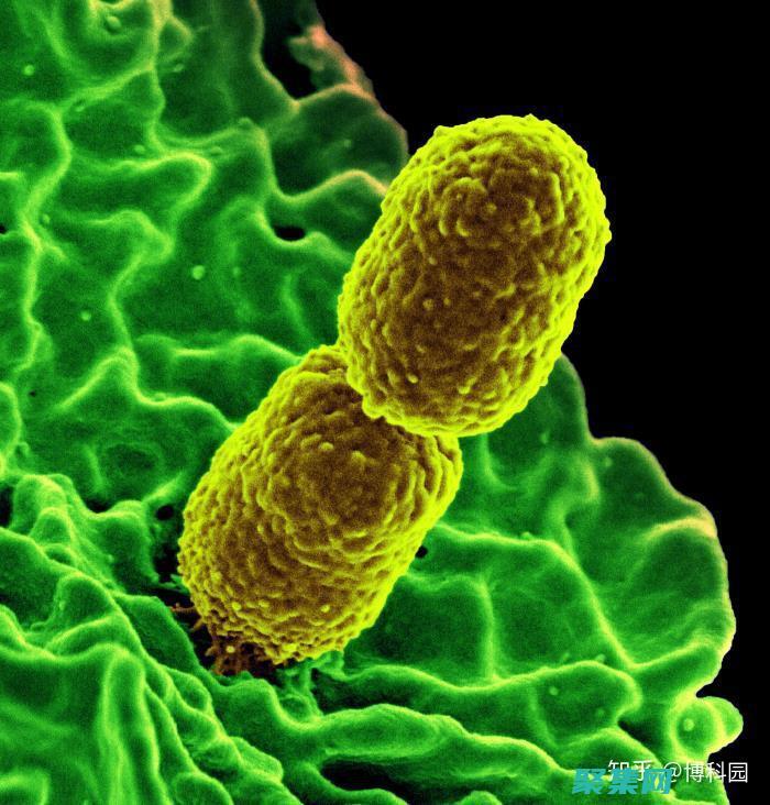 为什么file会失败