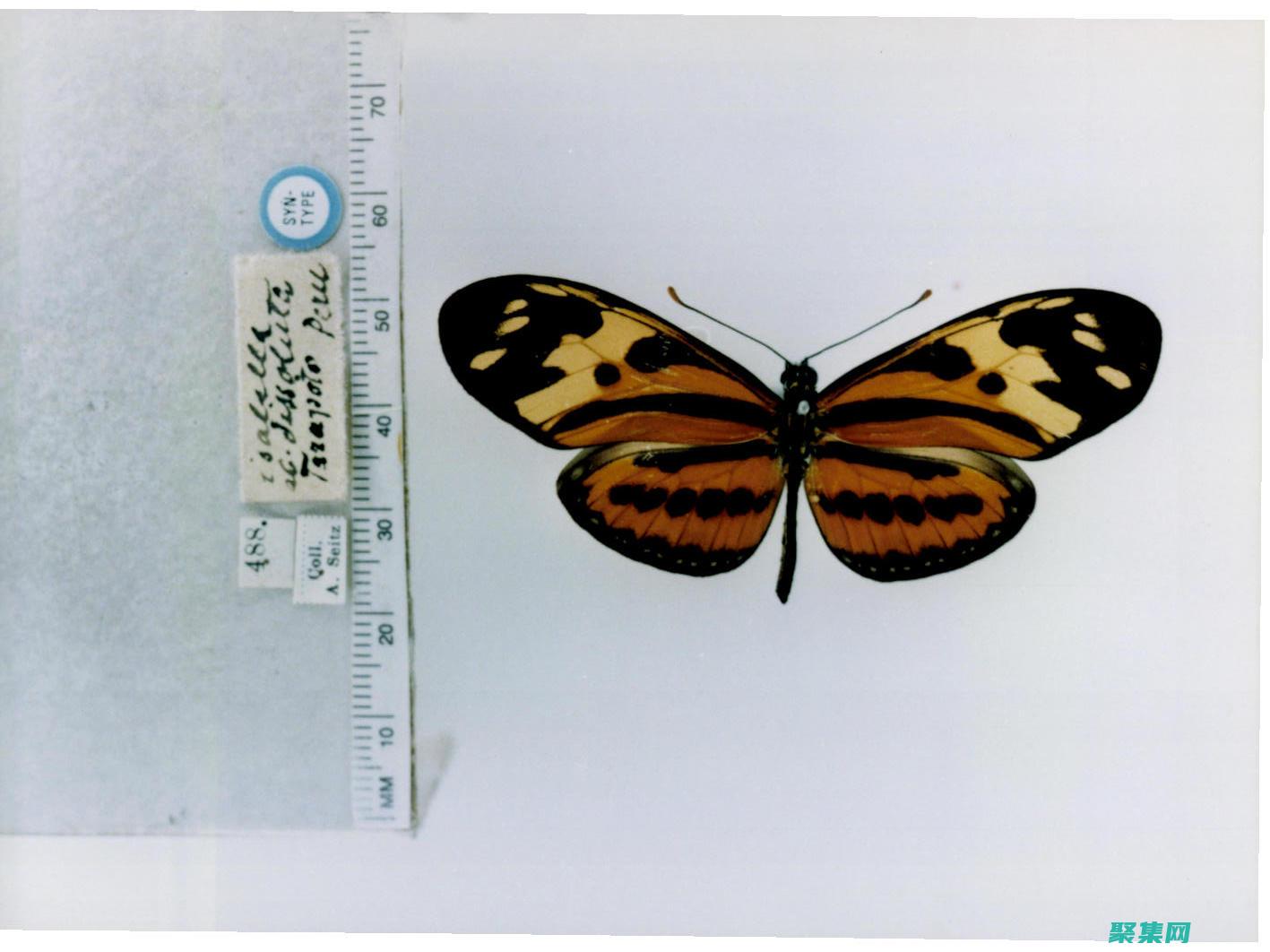 UEditor：功能强大的在线富文本编辑器的全面指南 (ueditor)