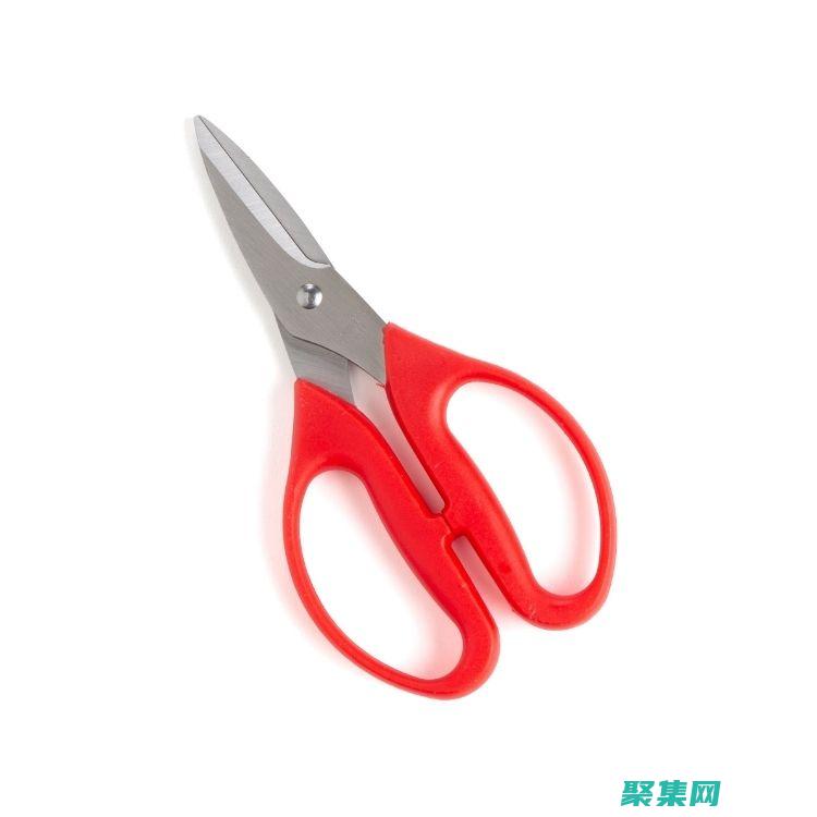 session的中文翻译