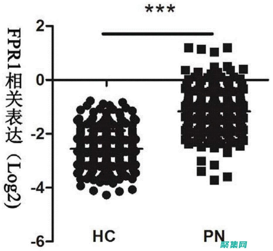 探索后妈的桃花源作文