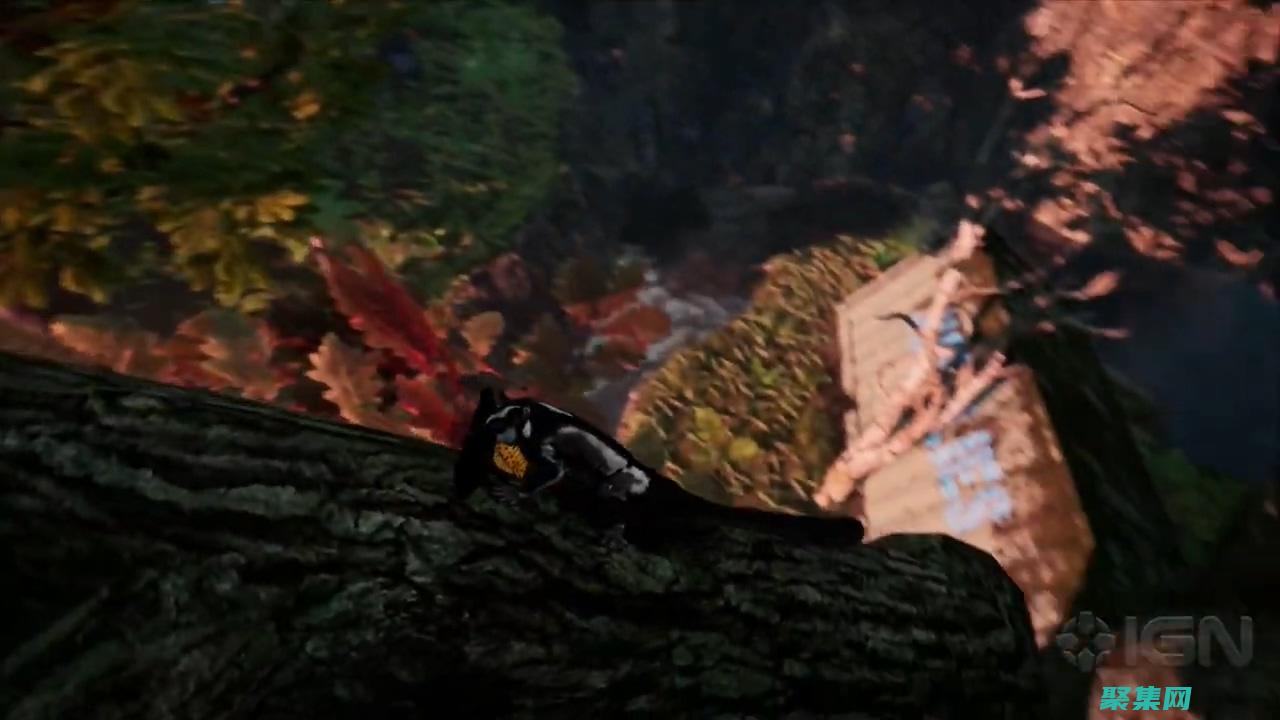 逃离环境灾难英文