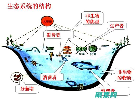 生态系统的灭亡：环境退出背后的毁灭性力量 (生态系统的灭菌原理)