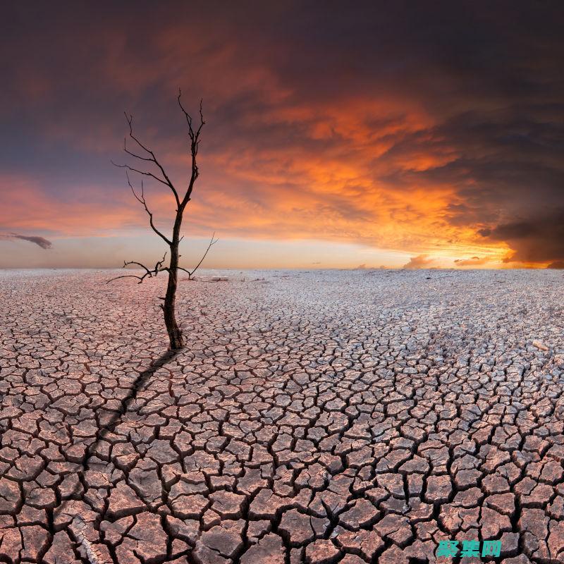 生态系统的灭亡