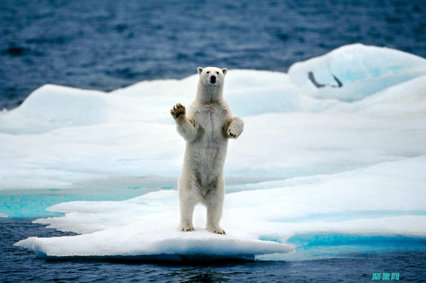 应对环境退出的社会影响