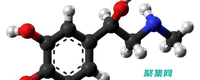感受肾上腺素飙升