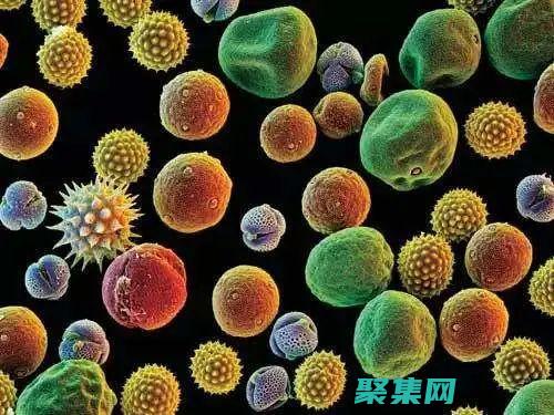 远离有害物质手抄报