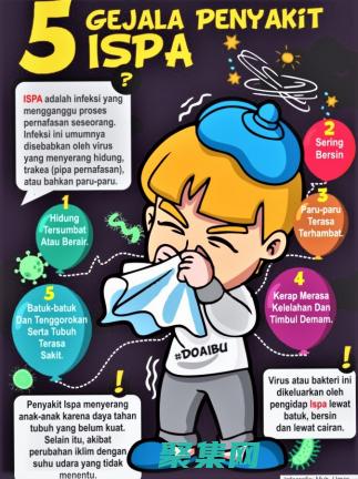 为初学者提供的逐步指南