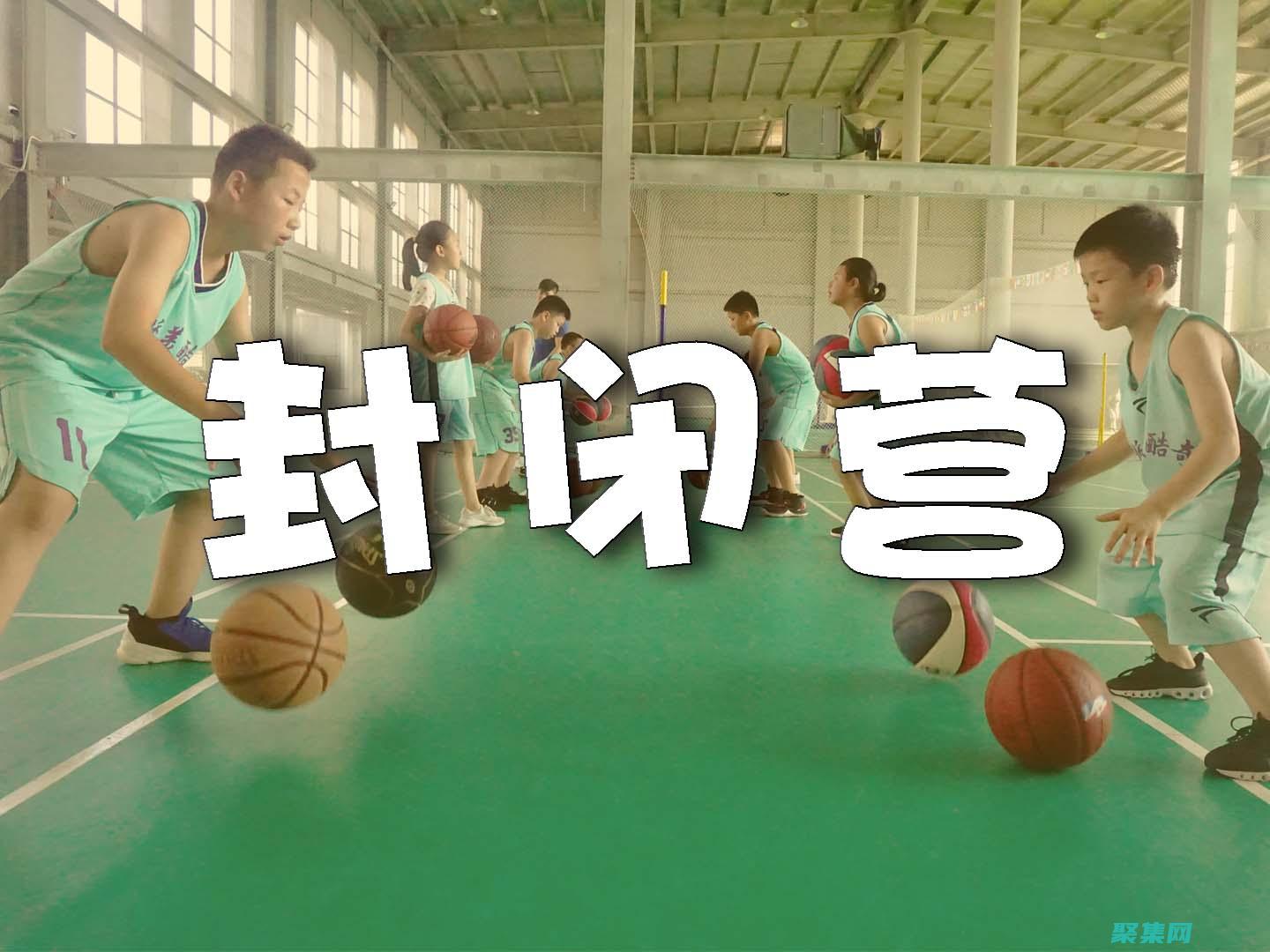 步步为营打一个正确生肖