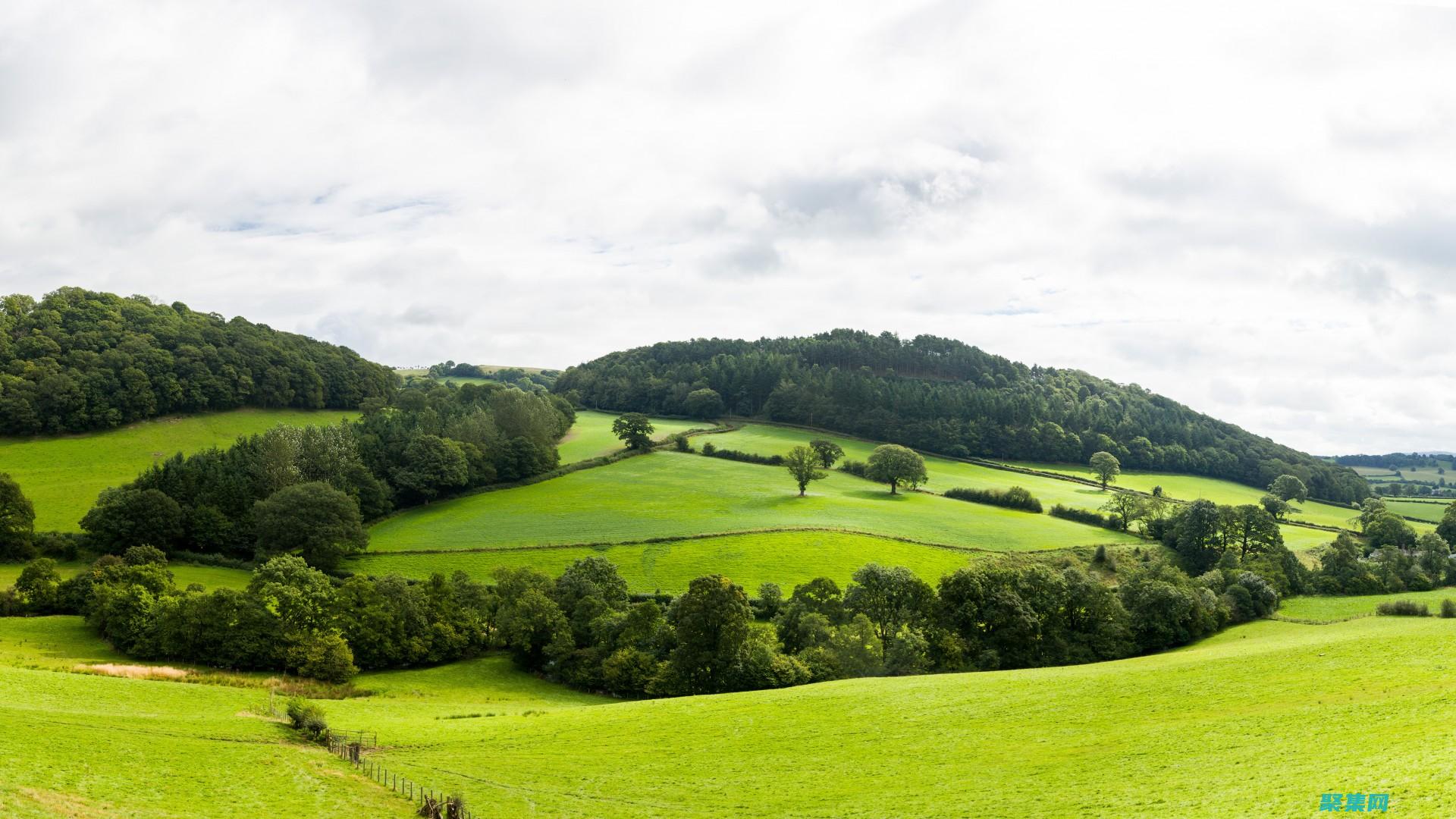 通过颜色转换提升您的网站美学