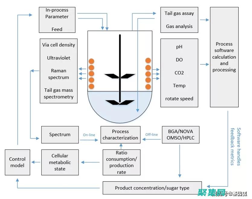 解决常见挑战和疑惑