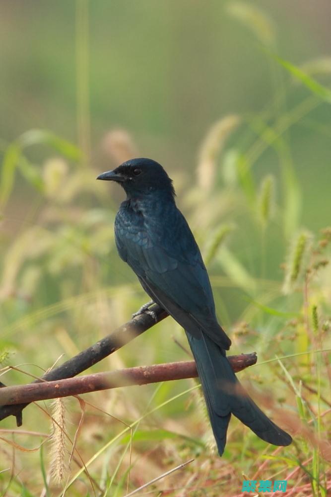 尾数值是什么意思